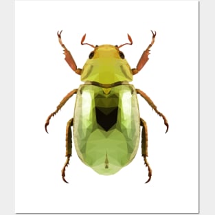 Green Beetle Posters and Art